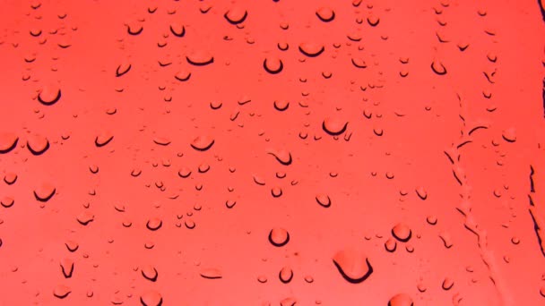 Gouttes de pluie rouge fond — Video