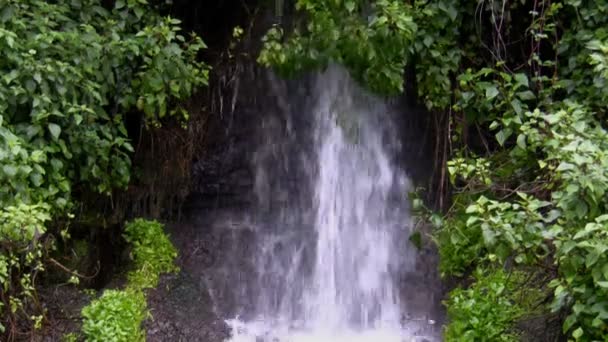 Ett litet vattenfall — Stockvideo