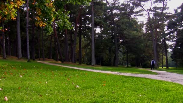Eenzame wandelaar in het park — Stockvideo