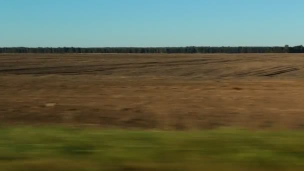 Vue sur le terrain agricole depuis un véhicule en mouvement — Video