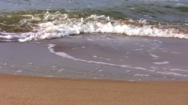 Onde e spiaggia di sabbia — Video Stock