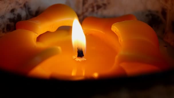 Gelbe orangefarbene Blume wie Kerze aus nächster Nähe — Stockvideo