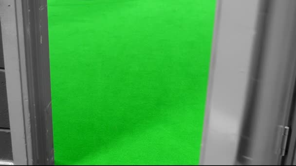 ドアを閉じるの背後にある緑の床 — ストック動画