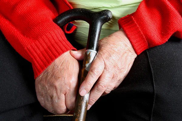 Stary womans ręce z trzciny cukrowej — Zdjęcie stockowe