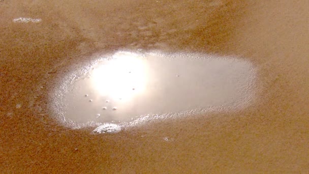 Puddle d'eau absorbée par le sable — Video