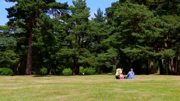 Vater und Kind im Park — Stockvideo