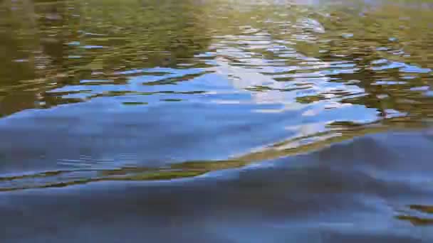 Water wake en reflecties — Stockvideo
