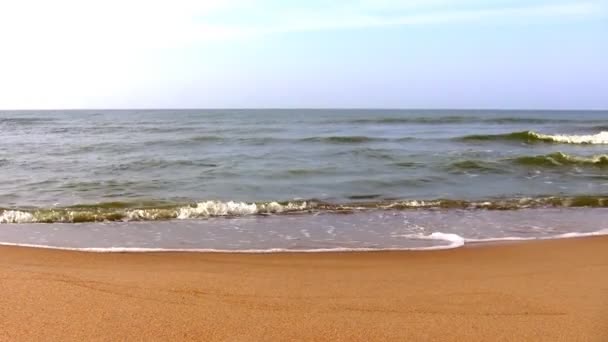 Mar calmo, praia arenosa — Vídeo de Stock