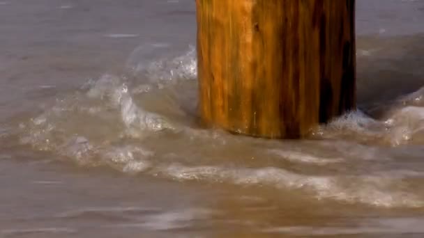 Bliska biegun w wodzie na plaży — Wideo stockowe