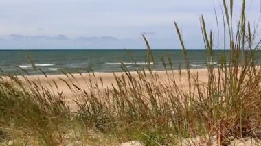 çim, plaj ve deniz