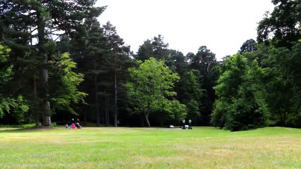 Politie patrouille op segways in het park — Stockvideo