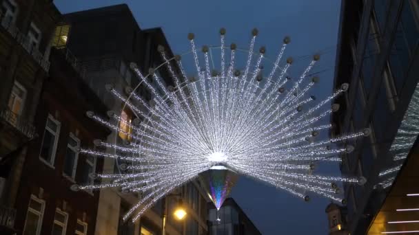 Peacock Příběh Tvar Vánoční Světla Dekorace Bliká Noci Nad Městem — Stock video