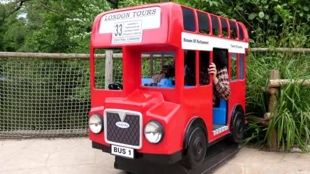 Die Erwachsene Frau Die Einem Kleinen Roten Britischen Bus Zur — Stockvideo