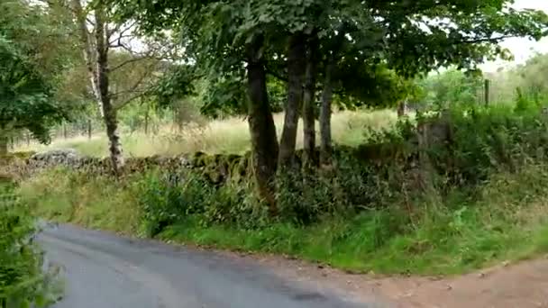 Car Point View Pov Driving Narrow Country Lane Downhill Another — Stock Video