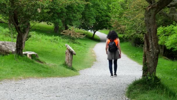 夏の砂利道で美しい鮮やかな緑の森の中で成熟した長い髪の女性ハイカーの背面ビュー — ストック動画