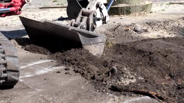 Lugar Público Pavimentado Mini Excavadora Excavadora Compacta Que Carga Suciedad — Vídeo de stock