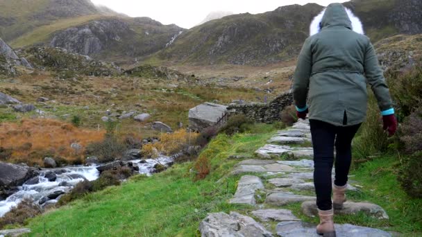 Achteraanzicht Van Vrouw Warme Kleding Wandelstenen Voetpad Bij Beek Snowdonia — Stockvideo