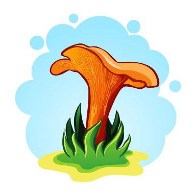 vektör çizimi Cantharellus cibarius mantar