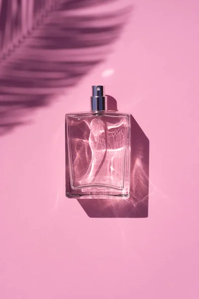 Pembe arka planda saydam bir parfüm şişesi. Palmiye yapraklı doğal malzemelerdeki trend konsepti. — Stok fotoğraf