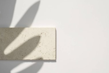 Mücevher ve kozmetik ürünlerinin sunumu için doğal bir taş. Depolama tepsisi. Gün ışığıyla sunum.