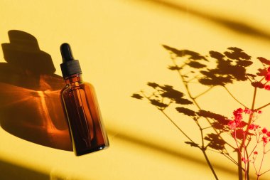 Siyah kapaklı kehribar cam damlası şişesi. Bitki gölgesi ile sarı arkaplanda üst görünüm.