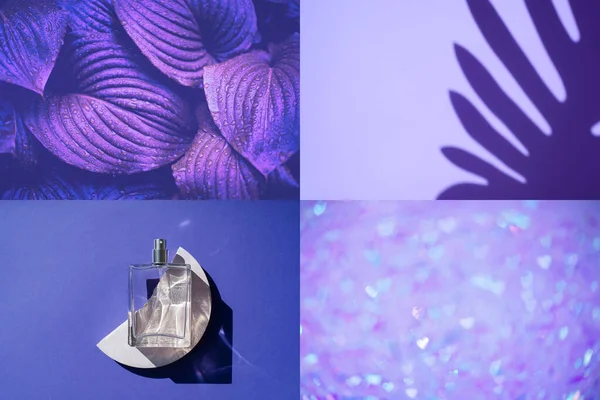 Collage Con Diferentes Fotos Abstractas Cerrar Hermoso Fondo Púrpura Fresco —  Fotos de Stock