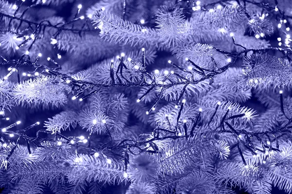 Fondo Árbol Púrpura Navidad Con Luces Guirnalda Tarjeta Año Nuevo — Foto de Stock