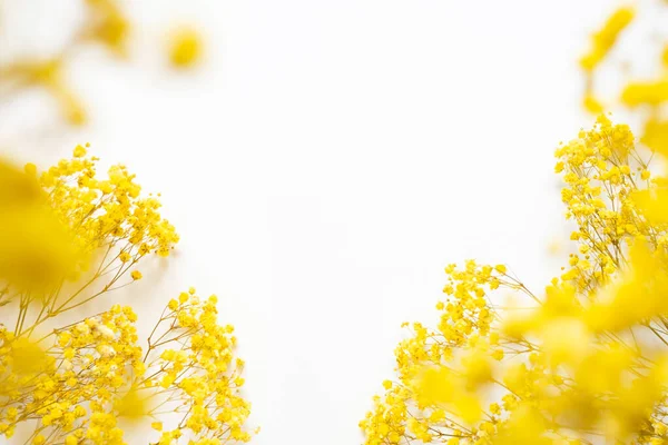 Trendendes Konzept Aus Natürlichen Materialien Mit Gelben Pflanzen Auf Weißem — Stockfoto