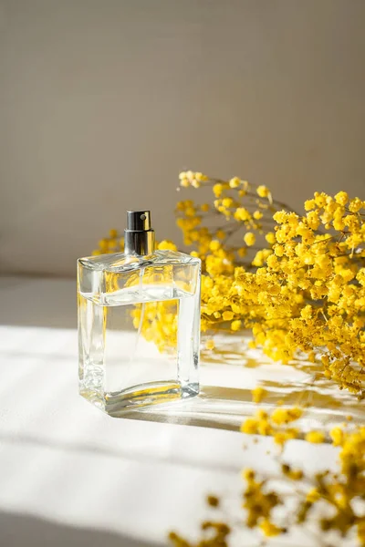 白い背景に透明ボトルの香水 夏時間と黄色の乾燥植物と香りのプレゼンテーション 自然素材のトレンドコンセプト 女性と男性の本質 — ストック写真