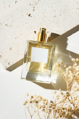 Transparent bottles of perfume and stone plate for product presentation and white background. Fragrance presentation with daylight and dry plants. Women's and men's essence.
