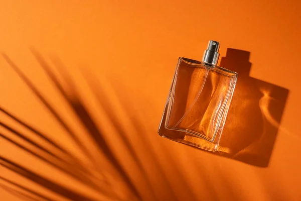 Transparente Flasche Parfüm Auf Orangefarbenem Hintergrund Duftpräsentation Mit Tageslicht Trendendes — Stockfoto
