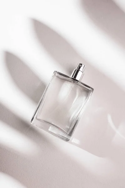 白色背景的透明香水瓶 光天化日下的芬芳呈现具有棕榈叶阴影的天然物质的趋势概念 妇女和男子的本质 — 图库照片