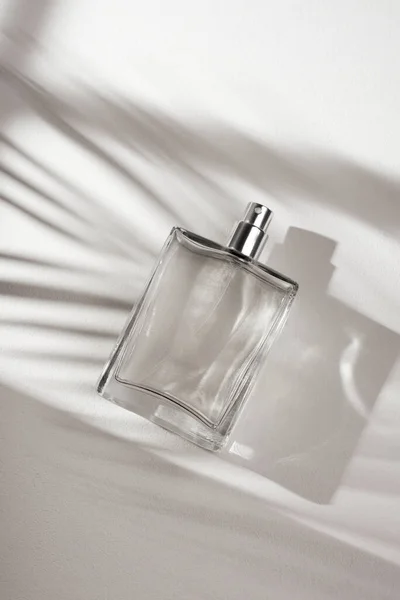 白色背景的透明香水瓶 光天化日下的芬芳呈现具有棕榈叶阴影的天然物质的趋势概念 妇女和男子的本质 — 图库照片