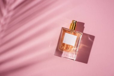 Pembe arka planda etiketi olan saydam bir parfüm şişesi. Gün ışığıyla güzel kokulu bir sunum. Doğal malzeme palmiyelerindeki moda kavramı gölge bırakır. Kadın ve erkeğin özü..