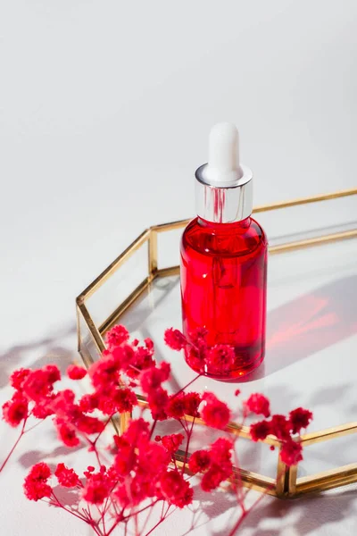 Rode Glazen Fles Met Druppelpipet Met Serum Etherische Olie Glasplaat — Stockfoto