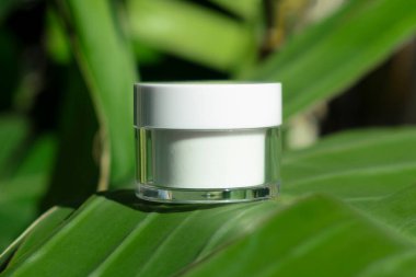 Beyaz kozmetik kavanozu yeşil palmiye yapraklarının arka planına karşı. Cilt kozmetiği serumla ya da gerekli yağla. Yüz bakımı için güzellik konsepti.