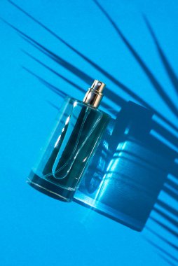 Mavi arka planda saydam bir parfüm şişesi. Gün ışığıyla güzel kokulu bir sunum. Palmiye yapraklı doğal malzemelerde moda olan konsept. Kadın ve erkeğin özü..
