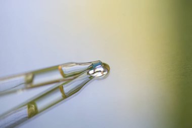 Pipette yumuşak odak noktasında hafif bir arka planda. Güneş ışığının güzel gölgesi. Cilt bakım ürünleri, doğal kozmetik ürünleri. Yüz ve vücut bakımı için güzellik konsepti