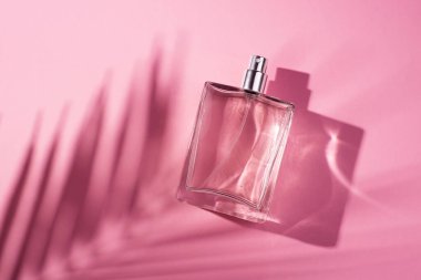 Pembe arka planda saydam bir parfüm şişesi. Gün ışığıyla güzel kokulu bir sunum. Doğal malzeme palmiyelerindeki moda kavramı gölge bırakır. Kadın ve erkeğin özü..