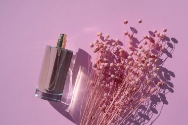 Pembe arkaplanda şeffaf bir parfüm şişesi. Gün ışığıyla güzel kokulu bir sunum. Kuru bitki ile doğal maddelerin moda konsepti. Kadın ve erkeğin özü..