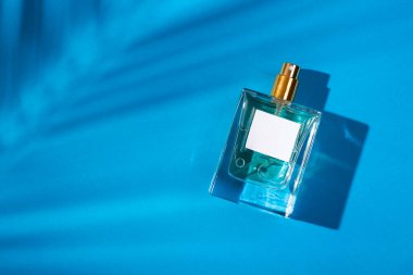 Mavi arka planda etiketi olan saydam bir parfüm şişesi. Gün ışığıyla güzel kokulu bir sunum. Palmiye yapraklı doğal malzemelerde moda olan konsept. Kadın ve erkeğin özü..