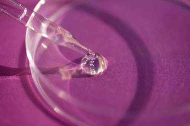 Pembe arka planda serumlu ya da kozmetik sıvılı damlacık pipeti ve petri kabı. İçi sıvı ve kabarcıklarla dolu şeffaf bir kap. Jel dokusunun görünüşü. Tıp ve güzellik konsepti.