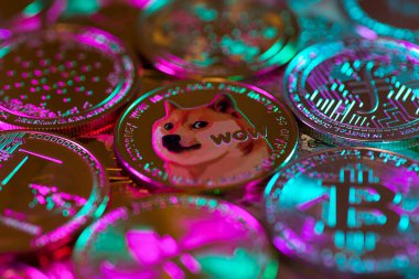 Diğer madeni paraların arka planına karşı Dogecoin. Çevrimiçi bankacılık için elektronik sanal şifreli para birimi. İş para birimi teknolojisi kavramı. Güzel pembe, mavi ve yeşil ışık rengi