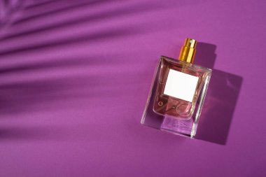 Mor arka planda şeffaf bir parfüm şişesi. Gün ışığıyla güzel kokulu bir sunum. Palmiye gölgeli doğal malzemelerde moda bir kavram. Kadın ve erkeğin özü..