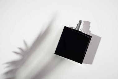 Beyaz arka planda siyah bir parfüm şişesi. Gün ışığıyla güzel kokulu bir sunum. Güzel palmiye gölgeleri olan moda bir kavram. Kadın ve erkeğin özü..