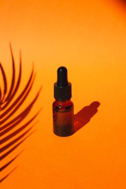 Damla pipetli bir şişe serum ya da gerekli yağ. Turuncu arka plan, gün ışığı ve güzel palmiye gölgeleri. Cilt bakım ürünleri, doğal kozmetik ürünleri. Yüz ve vücut bakımı için güzellik konsepti