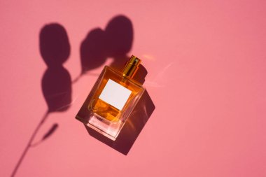 Pembe arka planda saydam bir parfüm şişesi. Gün ışığıyla güzel kokulu bir sunum. Doğal malzemelerde okaliptüs ile moda olan konsept gölgeler bırakır. Metin için beyaz etiketli cam temizle.