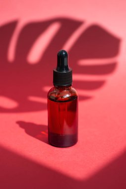 Damla pipetli bir şişe serum ya da gerekli yağ. Kırmızı arka plan, gün ışığı ve güzel palmiye gölgeleri. Kincare ürünleri, doğal kozmetik. Yüz ve vücut bakımı için güzellik konsepti
