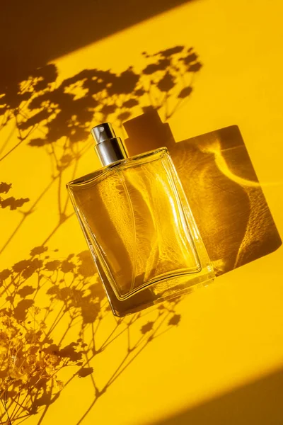 黄色背景的透明香水瓶 光天化日下的芬芳呈现具有美丽阴影的自然物质的趋势概念 妇女的本质 — 图库照片