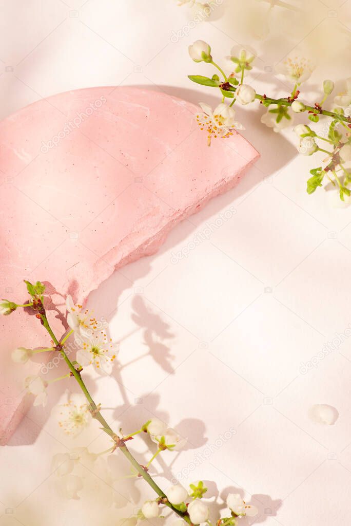 Blooming spring white flowers on pink concrete podium for product presentation for skincare products. Beauty concept for face body care. Empty broken cylindrical platform for cosmetic.